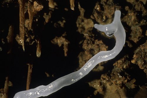 spe-01675-hd(spe-01675-hd.jpg)