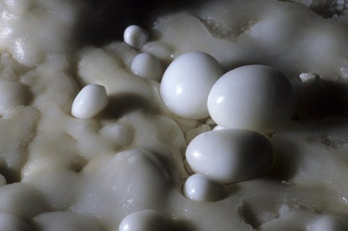 Perles des cavernes(Spe-05722)