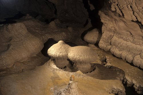 spe-06218-hd(spe-06218-hd.jpg)