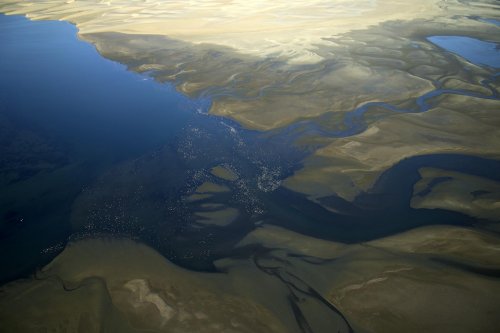 Désert du Namib. Lagune de Sandwich Bay(V 2005-0108)