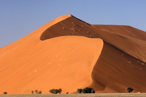 Dune géante du parc du Namib(V 2005-0190)
