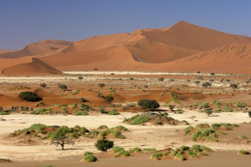 Désert du Namib. Pan de Sossusvlei(V 2005-0202)