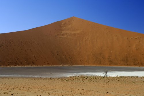 Désert du Namib. Pan au pied d'une dune(V 2005-0301)