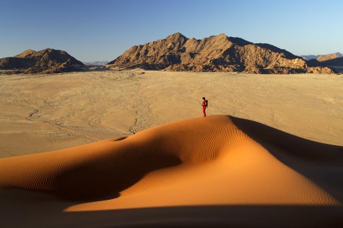 Désert du Namib. Elim Dune près de Sesriem(V 2005-0325)