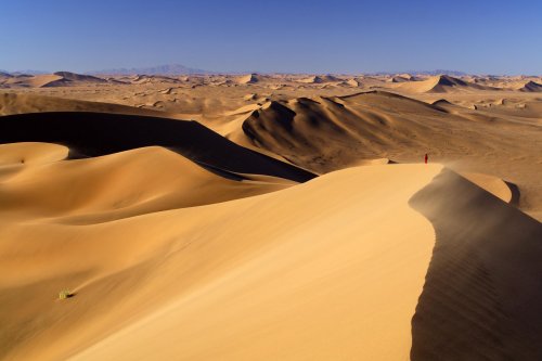 Désert du Namib. Grande dune au sud de Deadvlei(V 2005-0359)