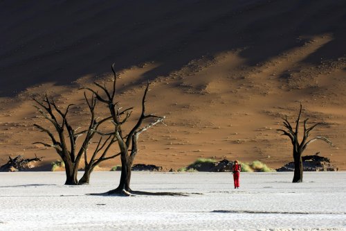 Désert du Namib. Pan de Deadvlei (V 2005-0528)