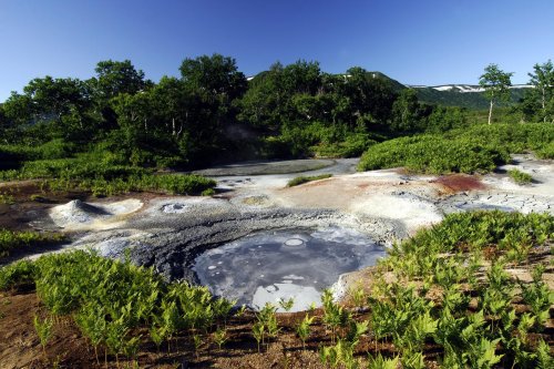Russie. Kamtchatka. Caldeira d'Uzon.(V 2006-1076)