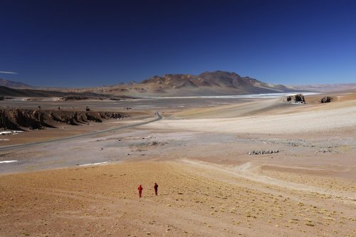 Chili. Altiplano entre San Pedro de Atacama et Salta en Argentine.(V 2007-0708)