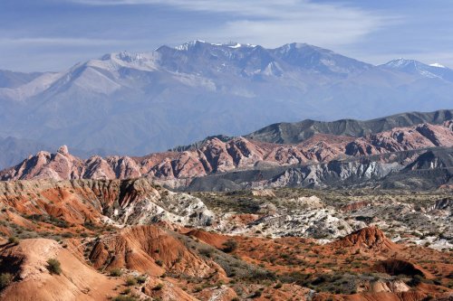 Argentine. Région de Salta. Parc Naturel de Las Cardones.(V 2007-1021)
