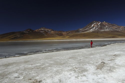 Chili. Laguna Miscanti.(V 2007-1096b)