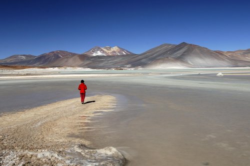 Chili. Altiplano. Laguna de Aguas Calientes sur la route du Paso Sico.(V 2007-1139b)