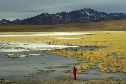 Chili. Laguna Putana entre San Pedro De Atacama et El Tatio.(V 2007-1267)