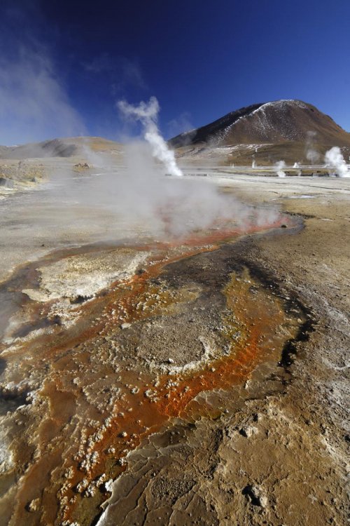 Chili. Altiplano. Champ de geysers du Tatio.(V 2007-1307)