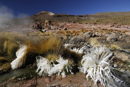 Chili. Solfatares à proximité du Tatio.(V 2007-1337)