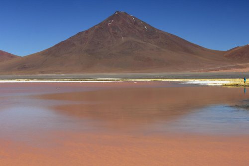 Bolivie. Altiplano. Laguna Colorada.(V 2007-1390)