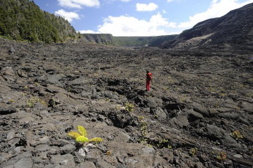Hawaï - Big Island : cratère du Kilauea Iki. C'est en 1940 que la dernière éruption a eu lieu. Le cratère était une immense marmite bouillonnante avec des fontaines de lave qui jaillissaient.(vo-08-0088)