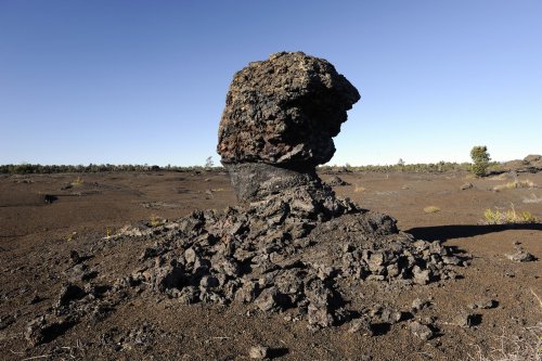 Hawaï - Volcano National Park (Big Island)- Chain of Craters Roa : champignon de lave aux environs du Mauna Ulu.(vo-08-0119)