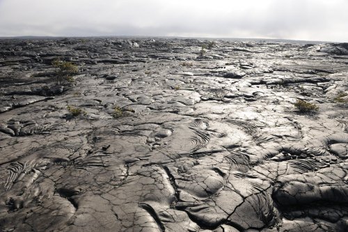 Hawaï - Volcano National Park (Big Island): coulées de lave le long de Chain of Craters Road.(vo-08-0153)