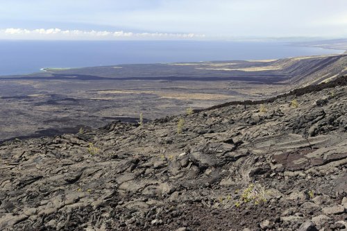 Hawaï - Volcano National Park (Big Island) - Chain of Craters Road - Vue des coulées de lave vers l'est(vo-08-0180)