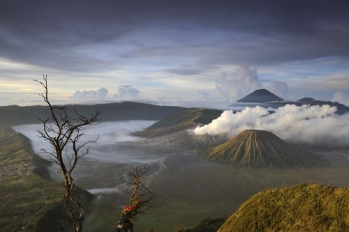 Java. Caldeira du Bromo depuis le belvédère de Pananjakan. (VOY 09-0525)