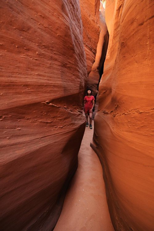 Parc d'Escalante (Utah). Zebra Canyon. Personnage en fond.(VOY 09-1070)
