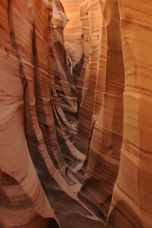 Parc d'Escalante (Utah). Zebra Canyon.(VOY 09-1117)
