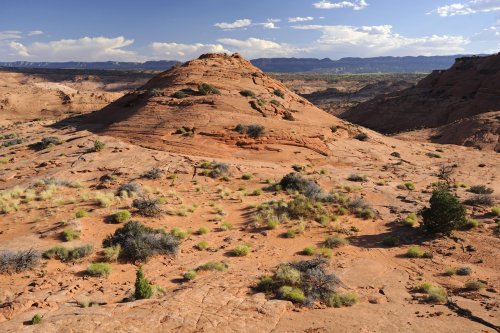 Parc d'Escalante (Utah). Paysage de grès dans le secteur de Little Egypt.(VOY 09-1212)