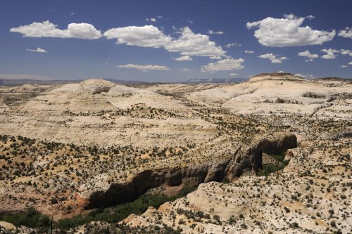 Parc d'Escalante (Utah). Calf Creek Canyon.(VOY 09-1308)