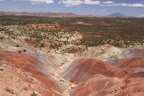 Parc d'Escalante (Utah).  Paysage le long de Wolverine Loop Road.(VOY 09-1331)
