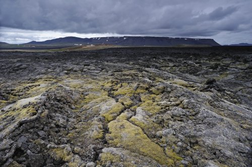 Champ de lave de Krafla près de Myvatn.(VOY 10-0301)