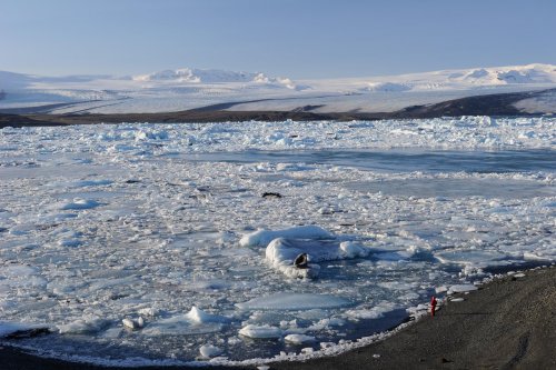 Islande - Lagune du Jokulsarlon envahie par les blocs de glace (vue d'ensemble)(VO 11-0123)