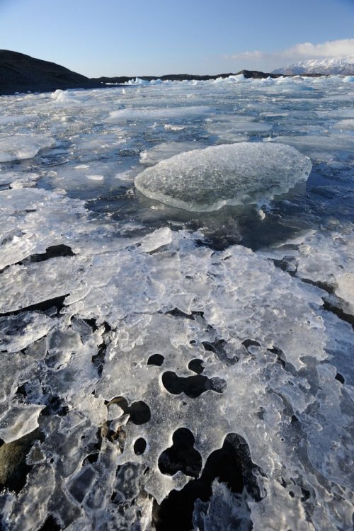 Islande - Berge de la lagune du Jokulsarlon avec glace(Vo 11-0186)
