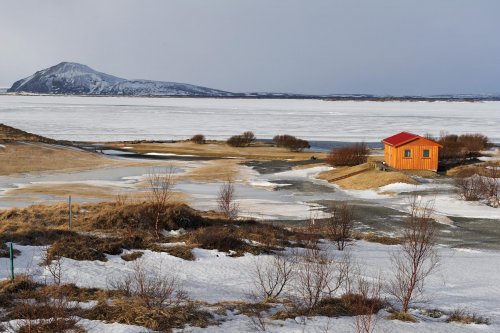 Islande - Lac de Myvatn sous la neige(VO 11-0363)