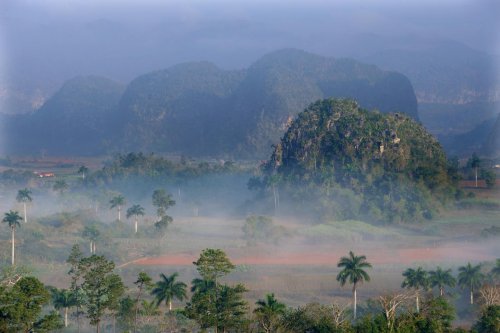 Cuba (région de Vinales). Relief karstique : mogotes dans la brume  au lever du soleil (VO-12-0264)