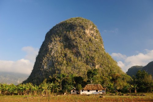 Cuba (région de Vinales). Relief karstique : mogote(VO-12-0308)