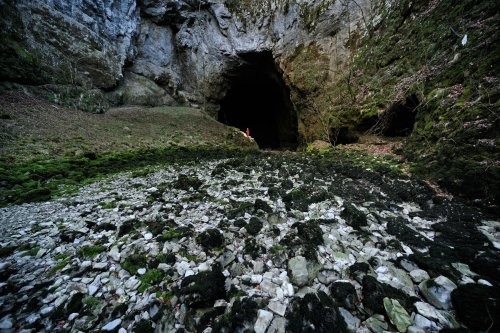 Tkalca Jama (Slovénie) - Perte(SP-12-0443)