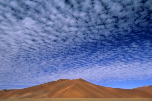 Grandes dunes à l'entrée du parc du Namib(V 15634)