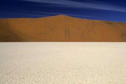 Désert du Namib. Pan de Deadvlei(V 15653)