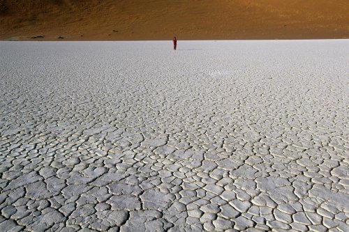 Désert du Namib. Pan de Deadvlei(V 15662)