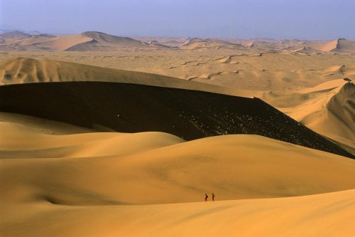 Désert du Namib. Paysage de grandes dunes au sud de Deadvlei(V 15826)