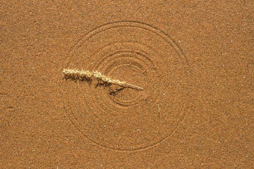 Désert du Namib. Cercle dessiné sur le sable par une brindille(v 15848)