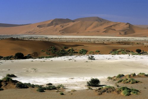 Désert du Namib. Pan de Sossusvlei(V 15908)