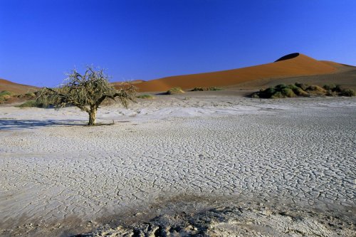 Désert du Namib. Pan de Sossusvlei(V 15913)