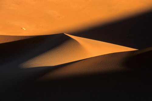 Désert du Namib. Jeu de lumière au lever du soleil (V 16019)