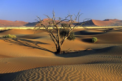 Désert du Namib. Paysage au sud de Sesriem(V 16190)