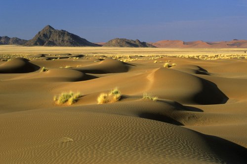 Désert du Namib. Petites dunes au sud de Sesriem (V 16209)
