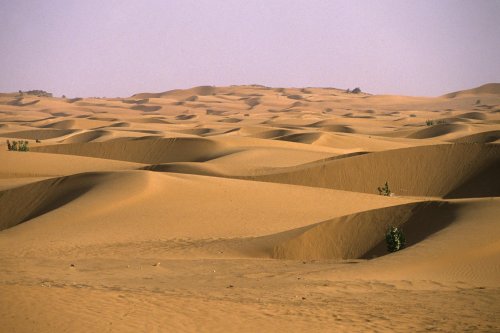  Désert de Mauritanie. Etendue de dunes dans la région de Tijikja.(VOY 02560)
