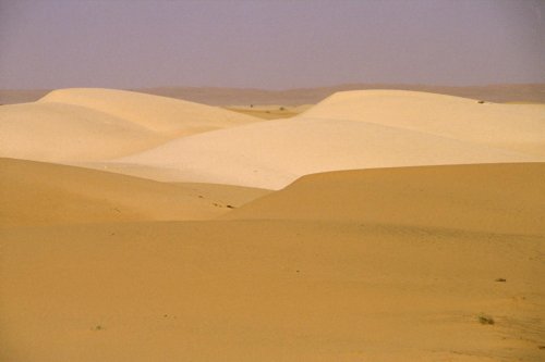 Désert de Mauritanie. Alternance de couleurs dans les dunes.(VOY 02598)