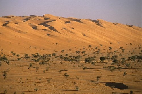 Désert de Mauritanie. Cordon dunaire dans la région de Tijikja.(VOY 02681)