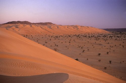 Désert de Mauritanie. Cordon dunaire dans la région de Tijikja au lever du soleil.(VOY 02685)